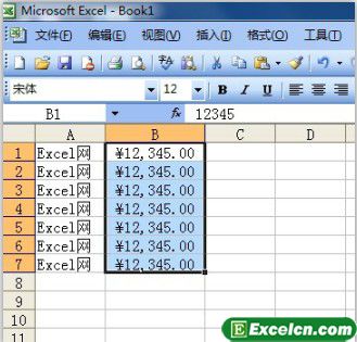 使用Excel2003的菜单命令设置数字格式第1张