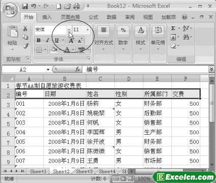 设置Excel2007单元格字体格式的方法第1张