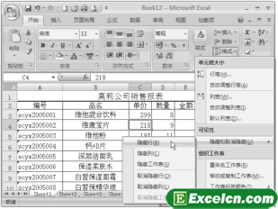 Excel2007隐藏行和列第1张